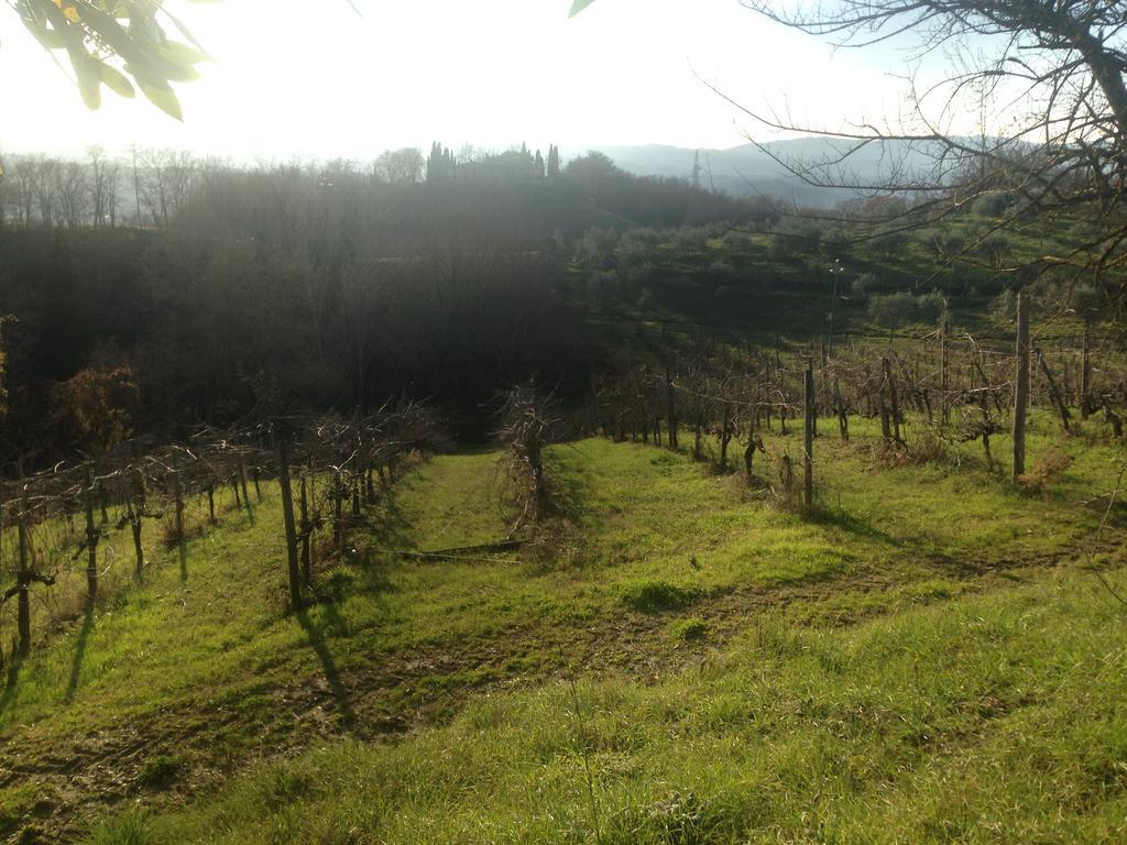 Podere San Lorenzo تيرانووفا براتشولي المظهر الخارجي الصورة